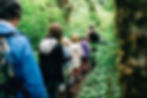 Six Acre Wood